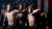 pride monkeys GIF