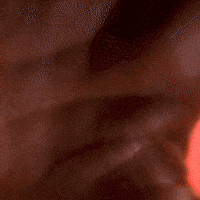 Bundesliga F95 GIF by Fortuna Düsseldorf