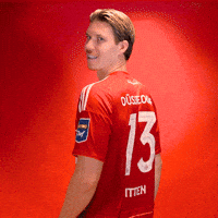 Bundesliga Tor GIF by Fortuna Düsseldorf