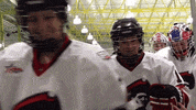hockey fist GIF by Robert Morris University Athletics