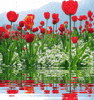 agua al GIF