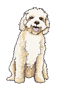 bbsdoggydaycare dog dogs bbs fluffy dog Sticker