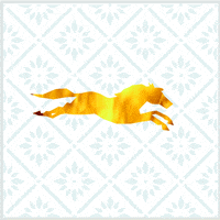 guatemala gustavo fajardo GIF by G1ft3d