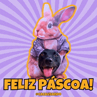 Dog Puppy GIF