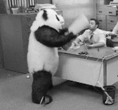 Video gif. A black and white video shows a panda aggressively smashing a keyboard on a desk as the man behind it raises his hands in the air in shock.
inFlux English School: Você sabe o que significa "pet peeve" em inglês?
