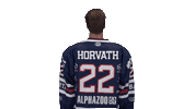Ice Hockey Sport Sticker by Fehervar AV19