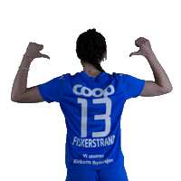 Football Soccer Sticker by LSK Kvinner FK