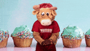 Birthday Celebrate GIF by CSUDHTeddyToro