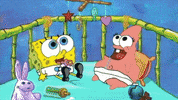 GIF by SpongeBob SquarePants