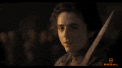 Timothee Chalamet Dune GIF by Regal