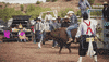 viceland GIF by TWIZ & TUCK