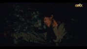 Fight Shooting GIF by MGM+