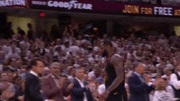 high five lebron james GIF by NBA