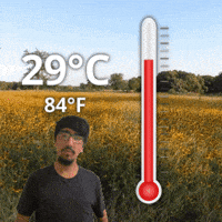29 C GIF