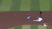 Major League Baseball Sport GIF by MLB