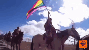Lgbt Nordeste GIF