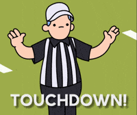 American Football GIF by doodles