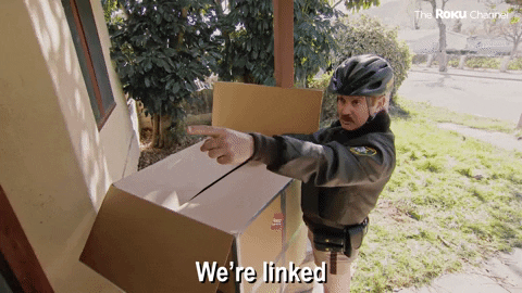 Reno 911 GIF by The Roku Channel