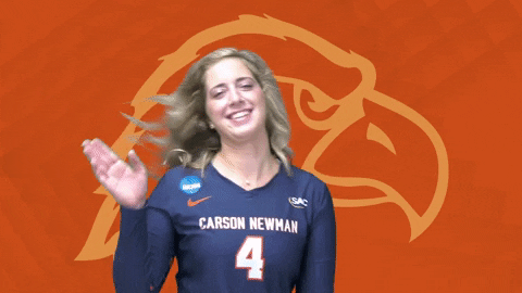 C-N Volleyball GIF by Carson-Newman Athletics