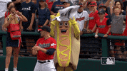 Major League Baseball Sport GIF by MLB