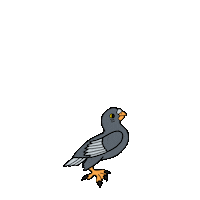 Skateboarding Pigeon Sticker by Skateboard School Amsterdam