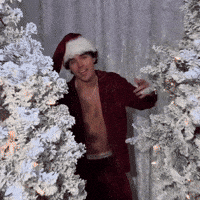 Nic Hot Santa GIF