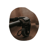 Rideandgo_Baby baby mama bebe bebes Sticker