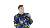 ekzellereisbaeren eishockey 8 alpshockeyleague zell am see Sticker