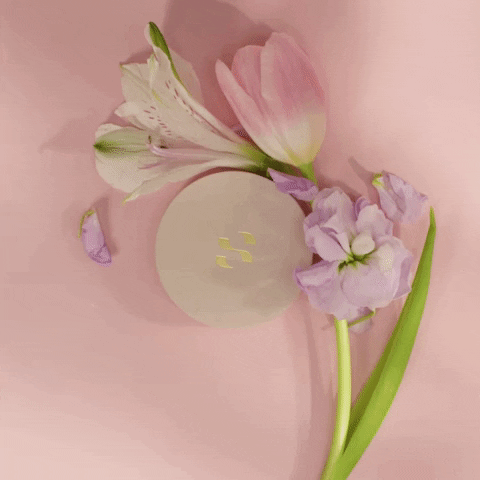 SOBERBEAUTY giphyupload happy makeup flowers GIF