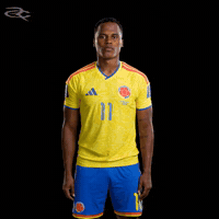 Fifa World Cup Colombia GIF by Respective