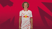 Sport Celebration GIF by RB Leipzig