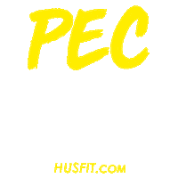 Sport Workout Sticker by Husfit