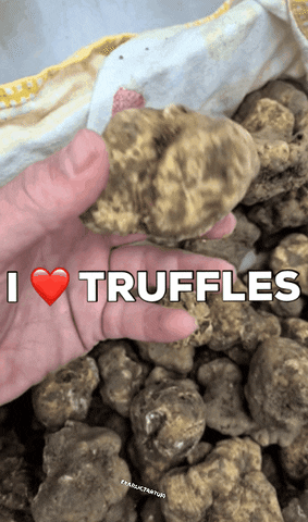 karlictartufi croatia truffle truffles tartufo GIF
