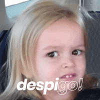 despigo fiesta despedida soltera soltero GIF