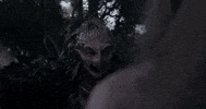 Halloween Bird GIF by Crypt TV