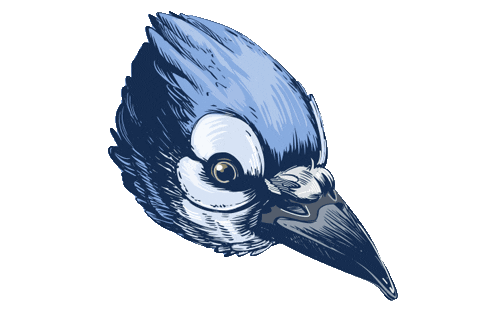 Blue Jay Bird Sticker