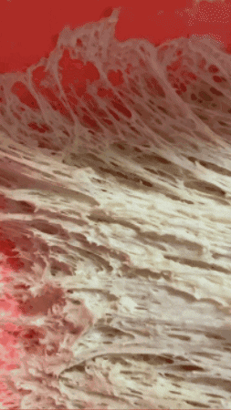 val9873405827305 giphygifmaker starter is rising but not doubling GIF