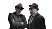 Blues Brothers Cube Sticker by Dental Direkt
