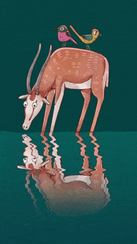 Animation Water GIF