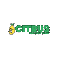 CitrusPodcast art music podcast culture Sticker