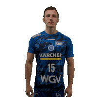 Handball Stuttgart Sticker by DAIKIN HBL