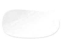 Patrocinio Sticker by Casa Di Conti