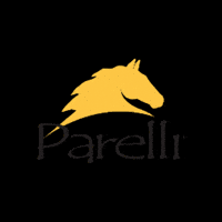 GIF by Parelli Natural Horsemanship