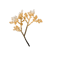 istellka flower autumn istellka stellamatyanova Sticker