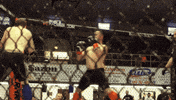 Fight Mma GIF by New Line Cagefighting