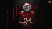 Football Hype GIF by XFL