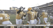 National Football League GIF by NFL