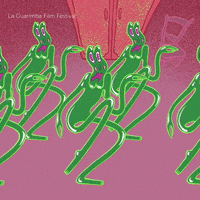Dance Wtf GIF by La Guarimba Film Festival
