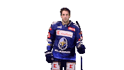 Hockey Hokej Sticker by Rytíři Kladno