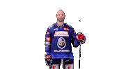 Hockey Hokej Sticker by Rytíři Kladno